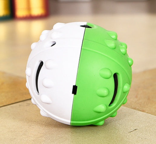 Why Your Dog Needs a Leaking Toy